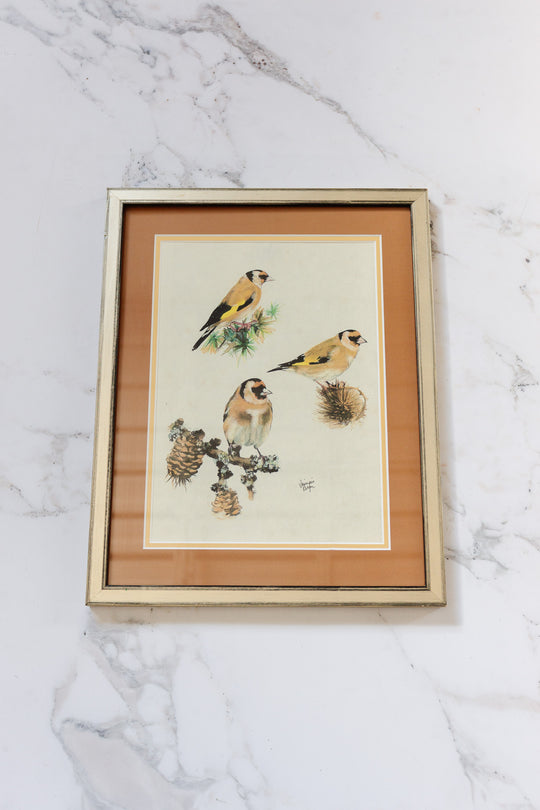 mélodie des oiseaux