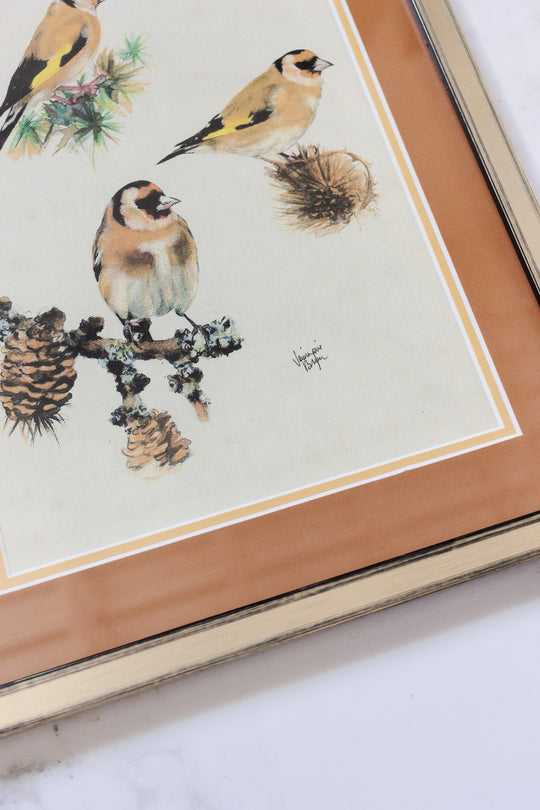 mélodie des oiseaux