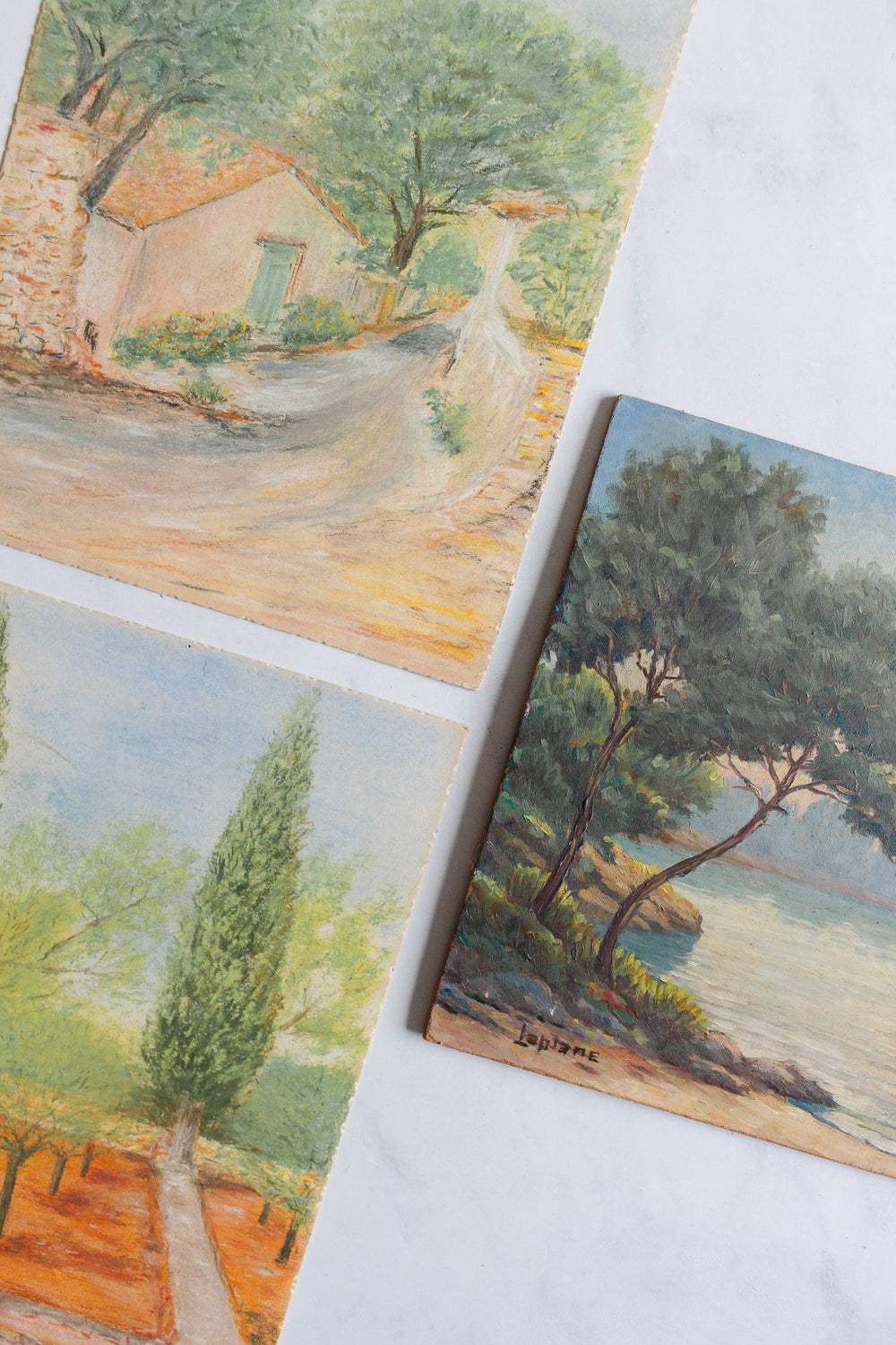 les arbres et la rivière