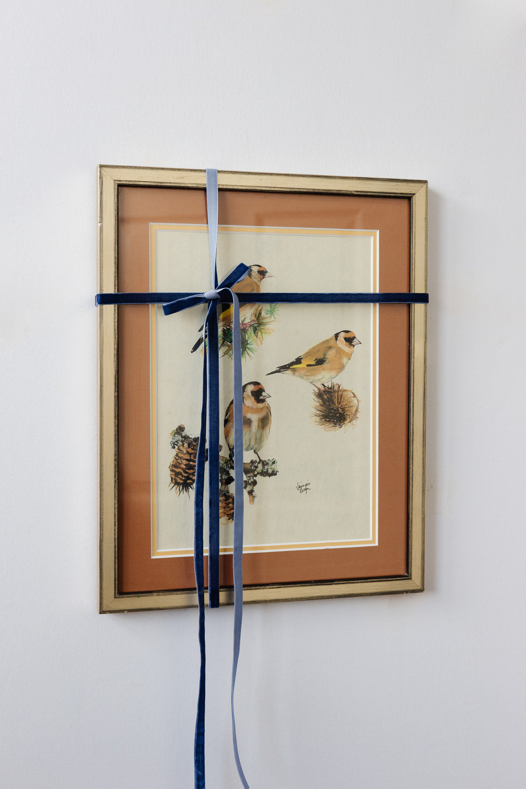 mélodie des oiseaux