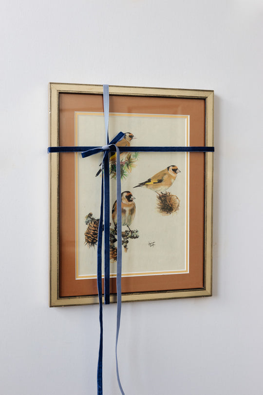 mélodie des oiseaux