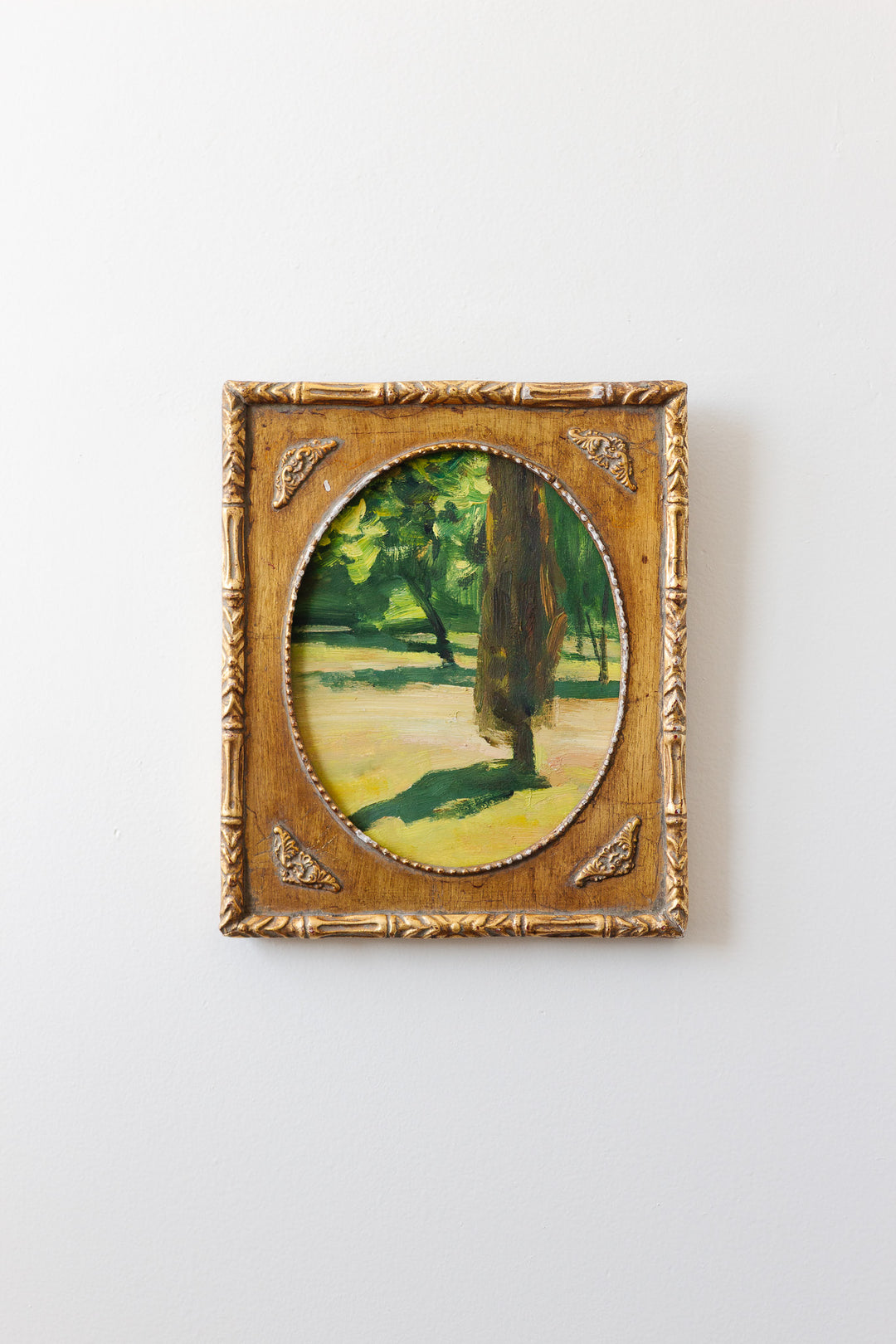 l'ombre de l'arbre