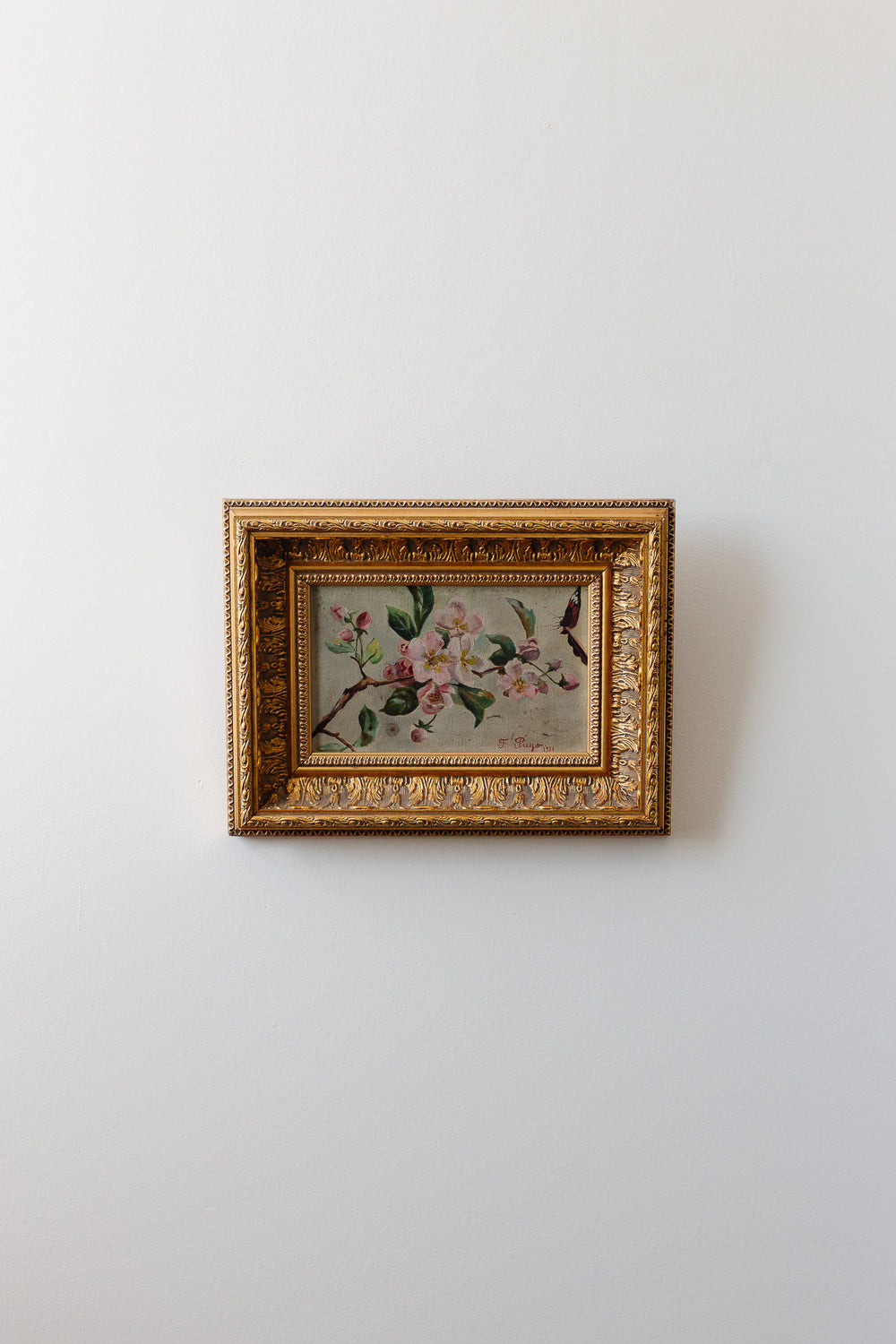 fleurs de cerisiers