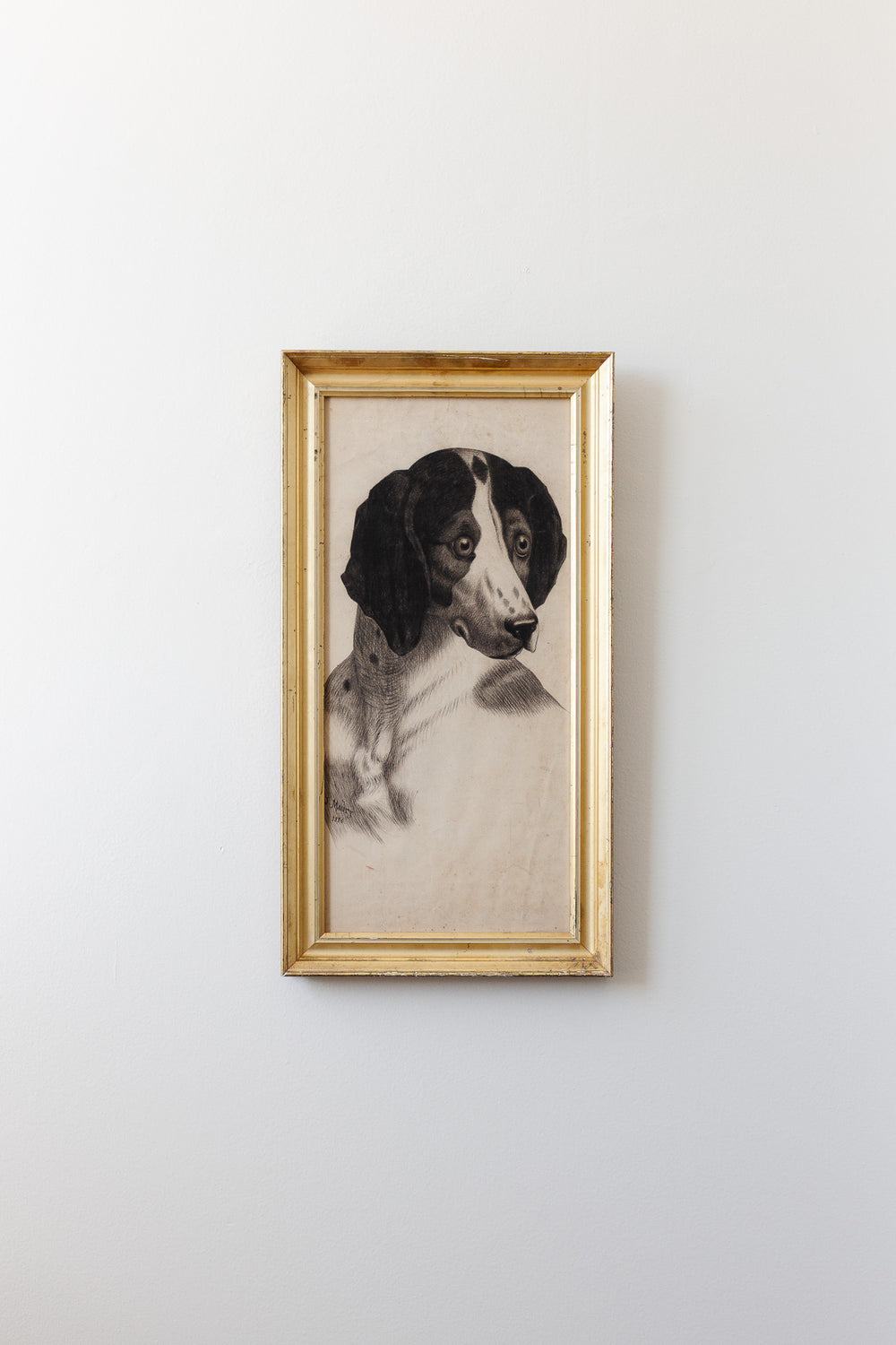 le chien de maury 1886