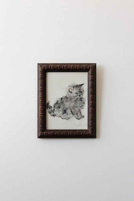 un chaton duveteux