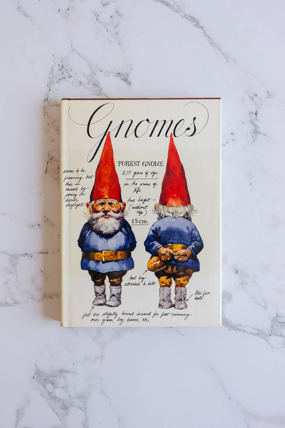 vintage coffee table book, "gnomes"