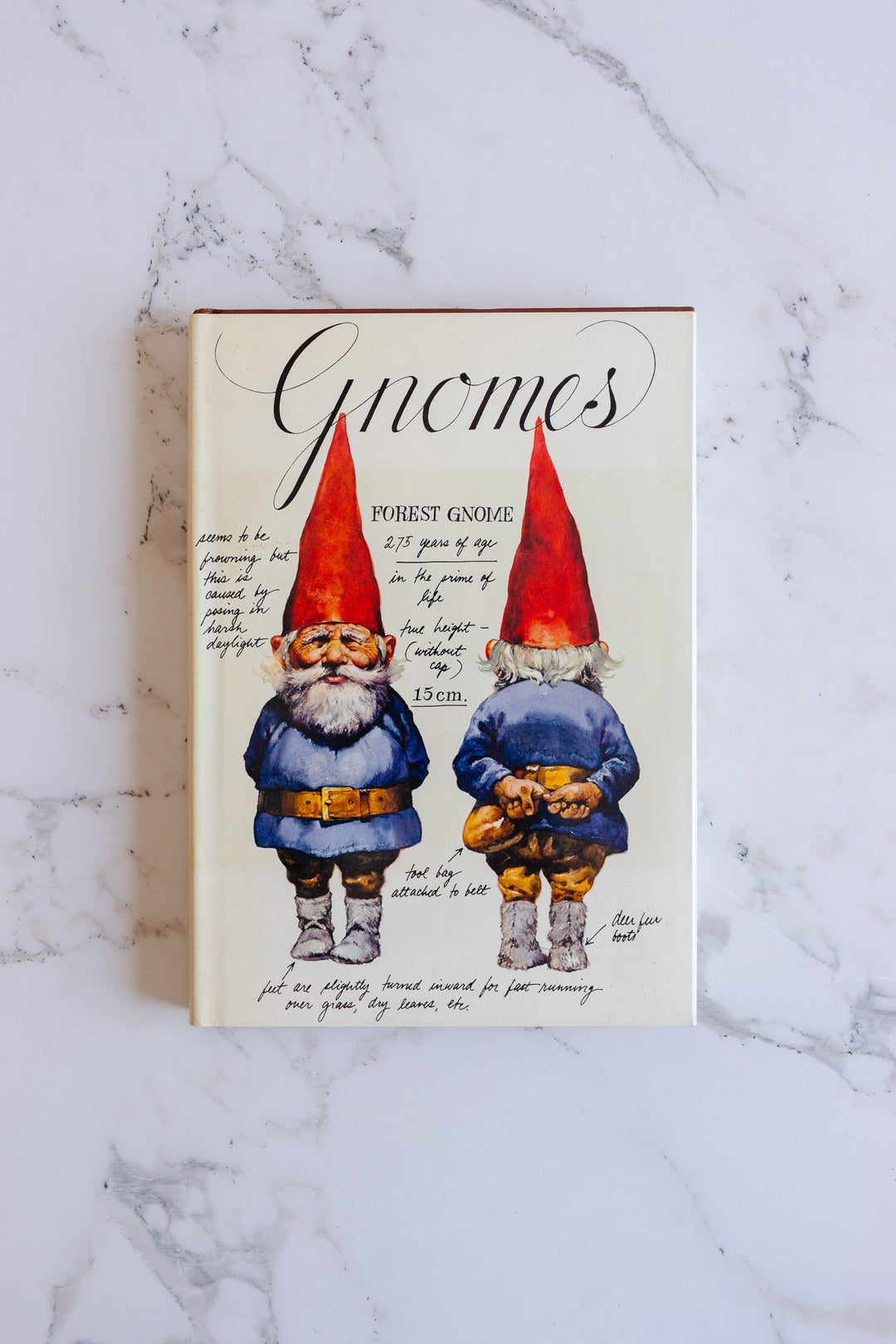 vintage coffee table book, "gnomes"