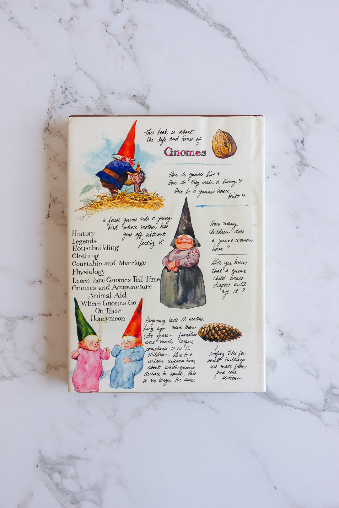 vintage coffee table book, "gnomes"