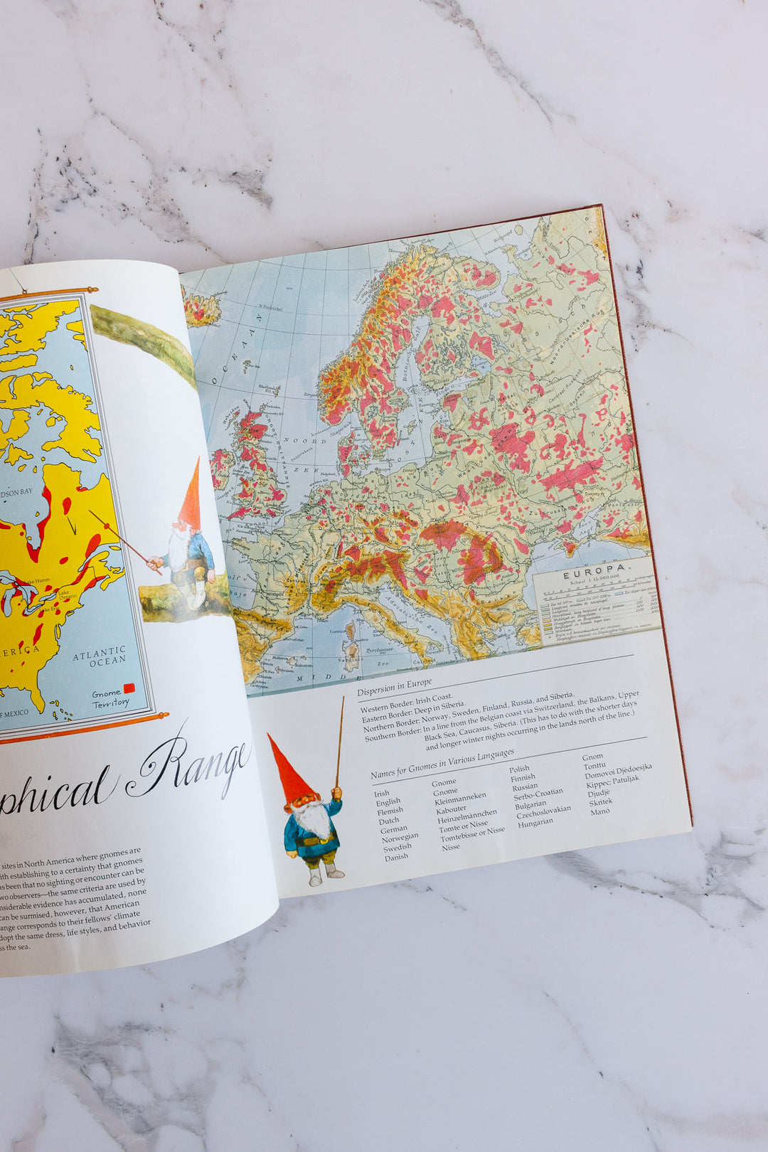 vintage coffee table book, "gnomes"