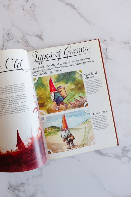 vintage coffee table book, "gnomes"