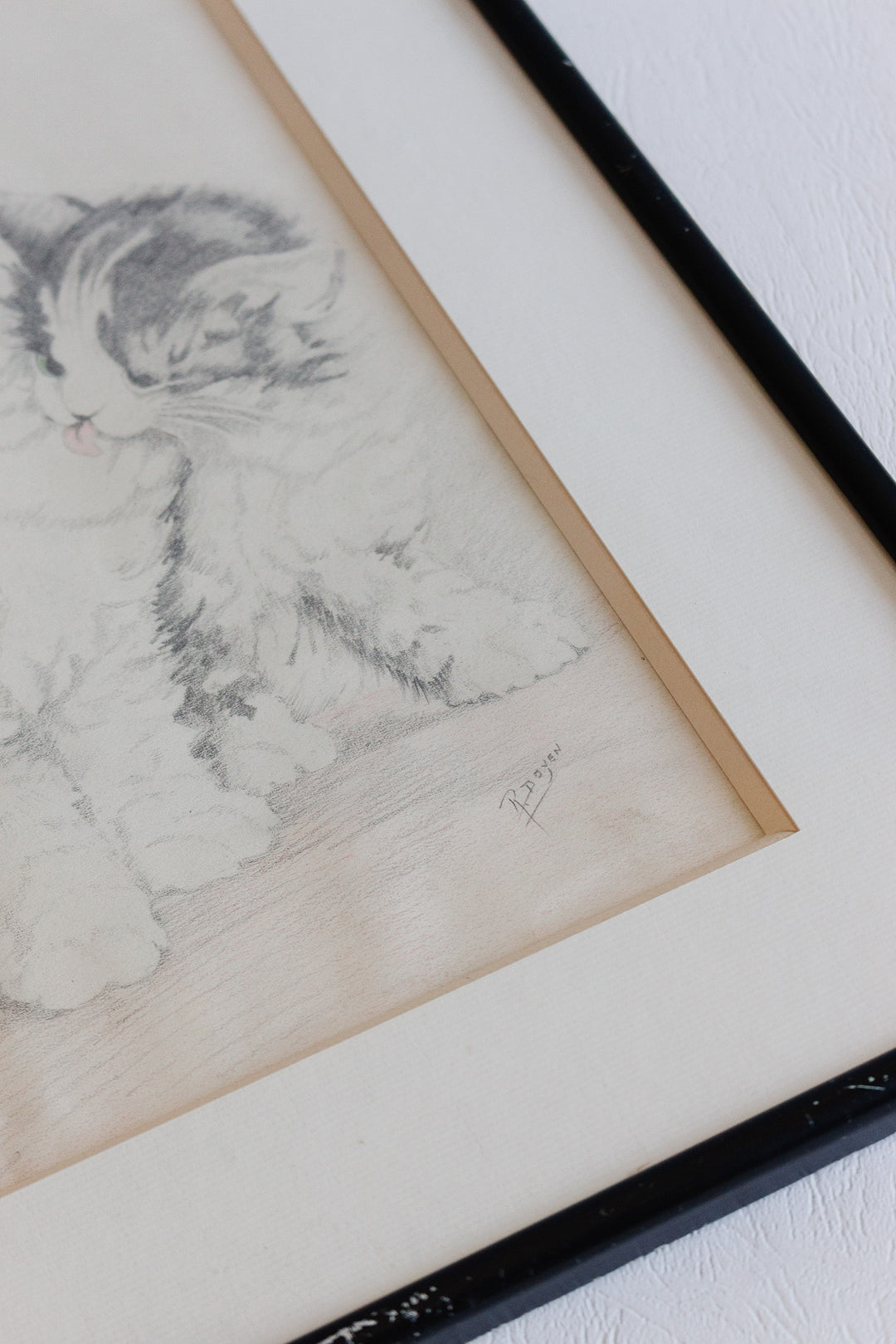 chats et papillion