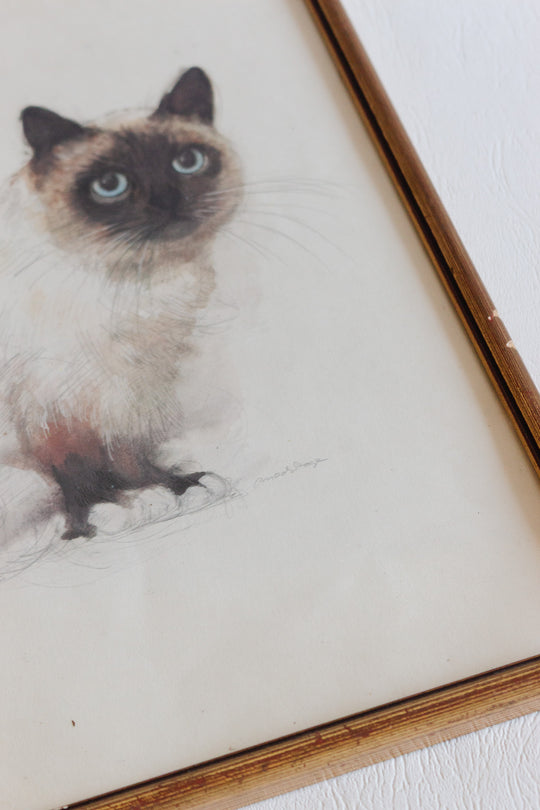 le chat siamois