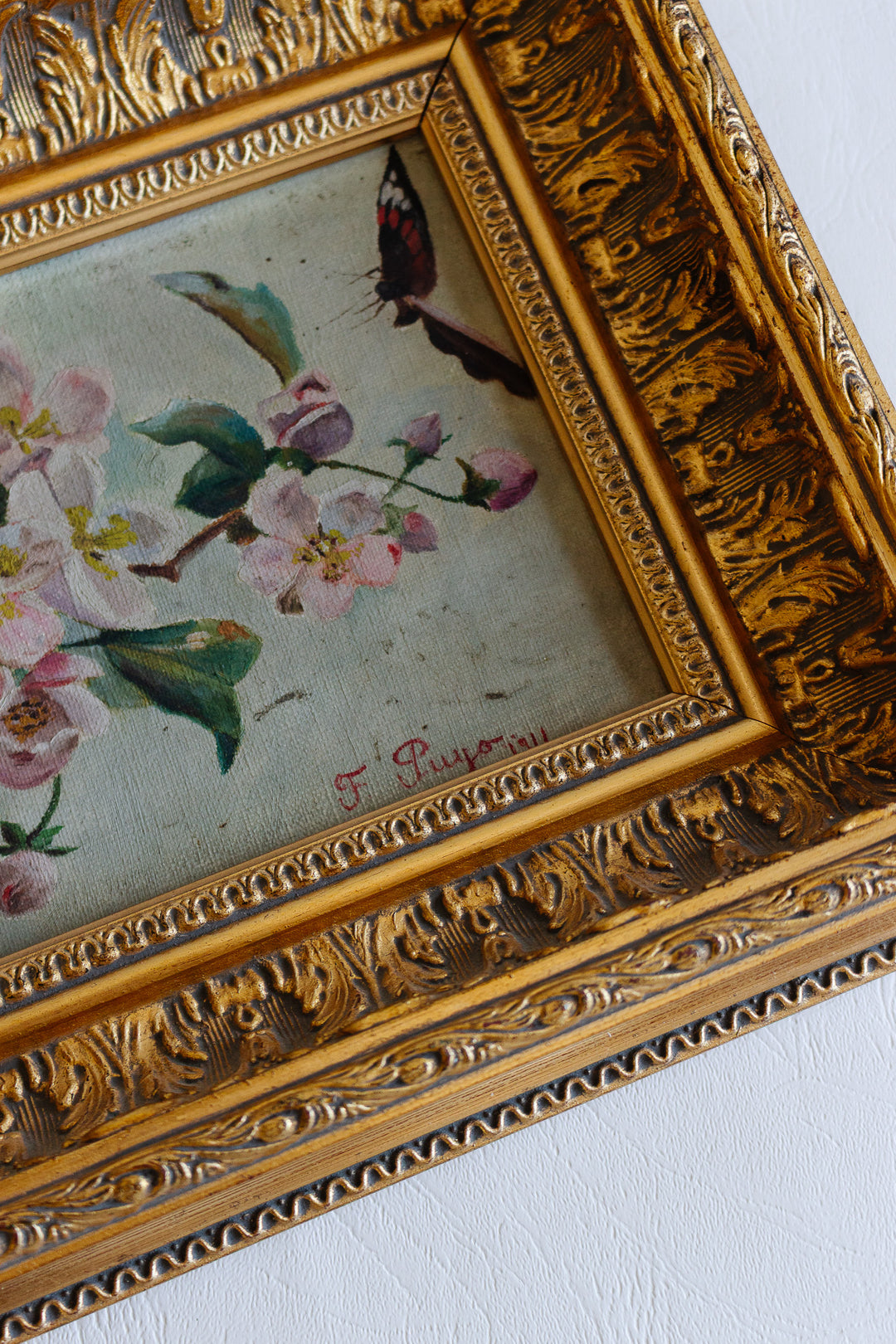 fleurs de cerisiers