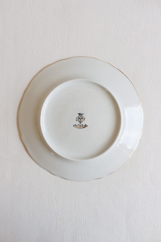 midcentury french compagnie nationale de porcelaine fish plates, set of 11