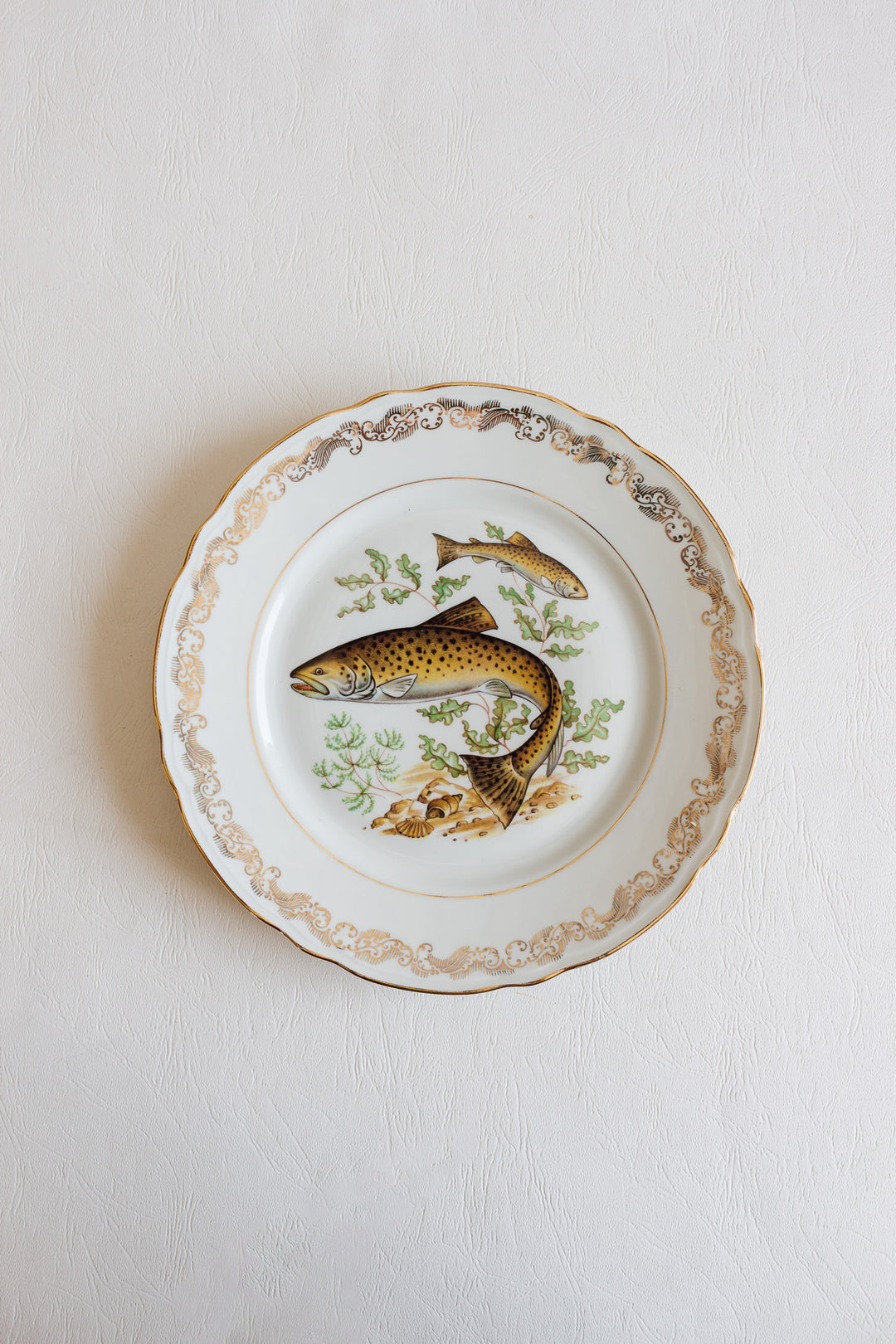midcentury french compagnie nationale de porcelaine fish plates, set of 11