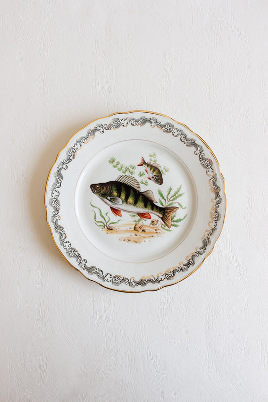 midcentury french compagnie nationale de porcelaine fish plates, set of 11