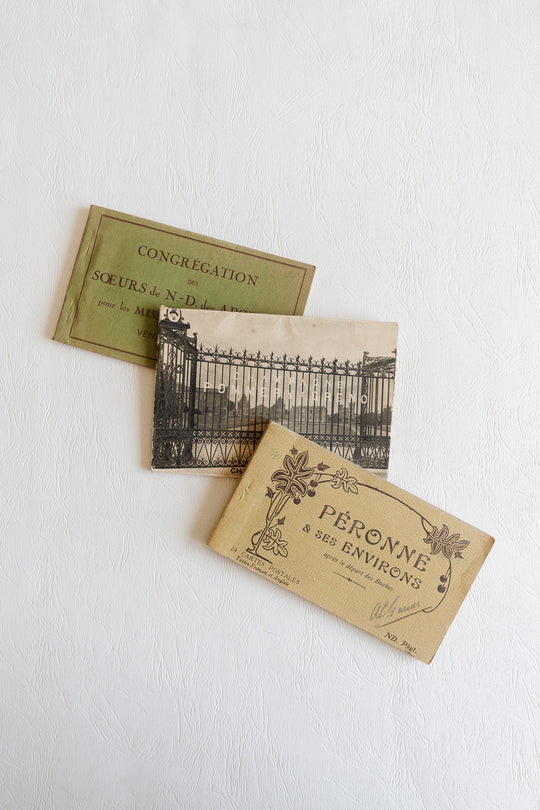 set of 3 antique french postcard books