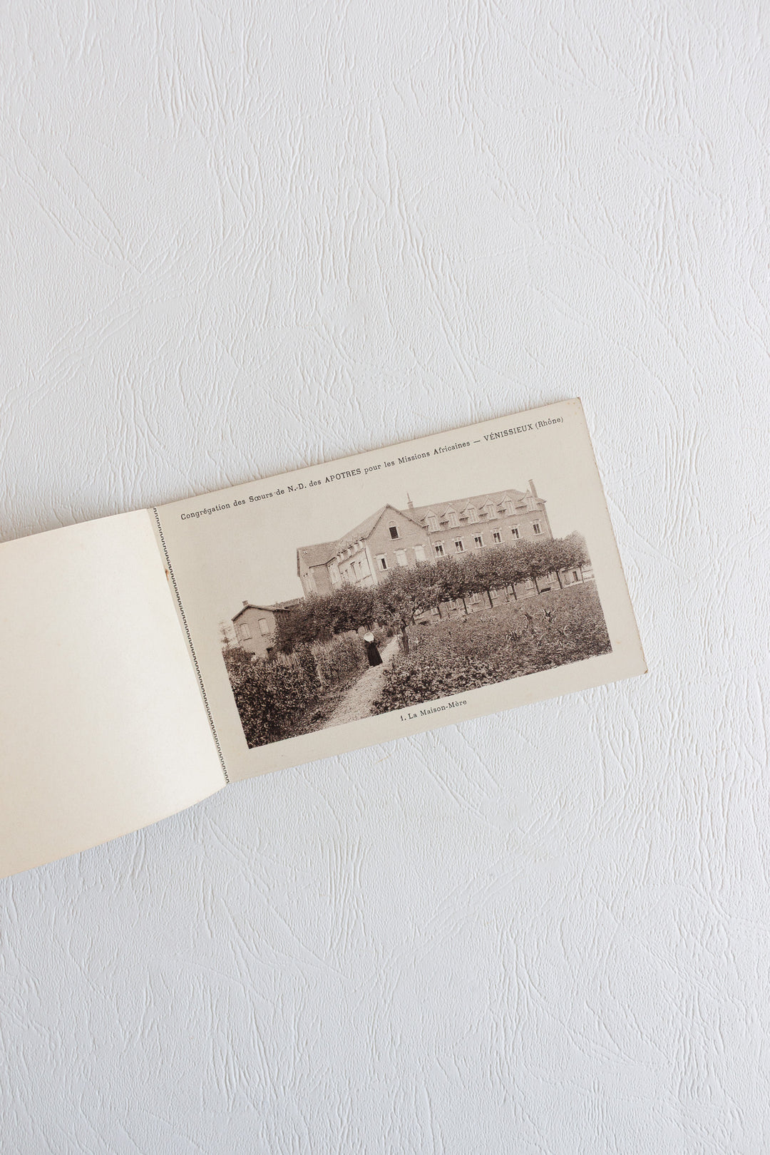 set of 3 antique french postcard books