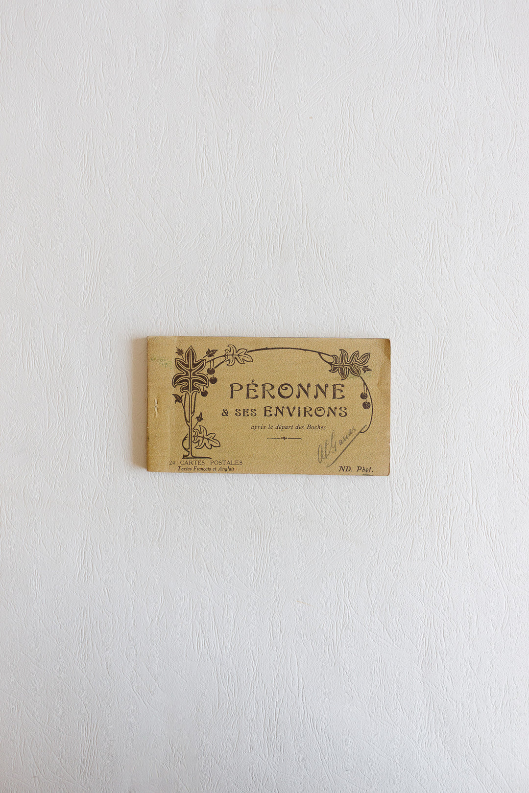 set of 3 antique french postcard books