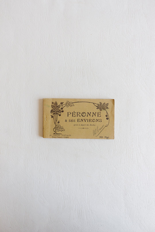 set of 3 antique french postcard books