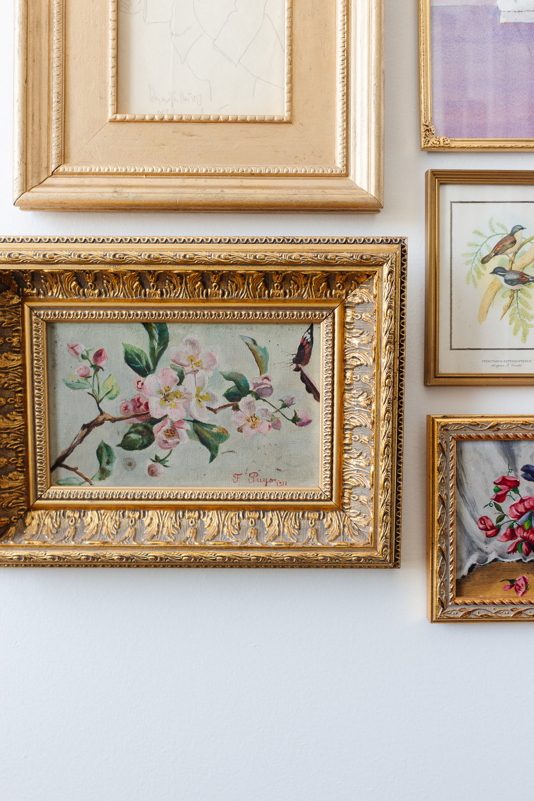 fleurs de cerisiers