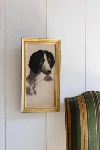 le chien de maury 1886