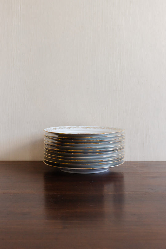 midcentury french compagnie nationale de porcelaine fish plates, set of 11