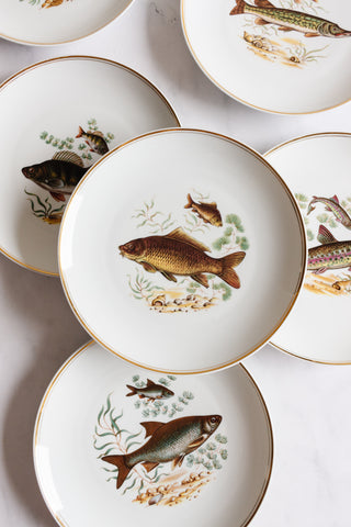 midcentury French porcelain fish plates, set of 11