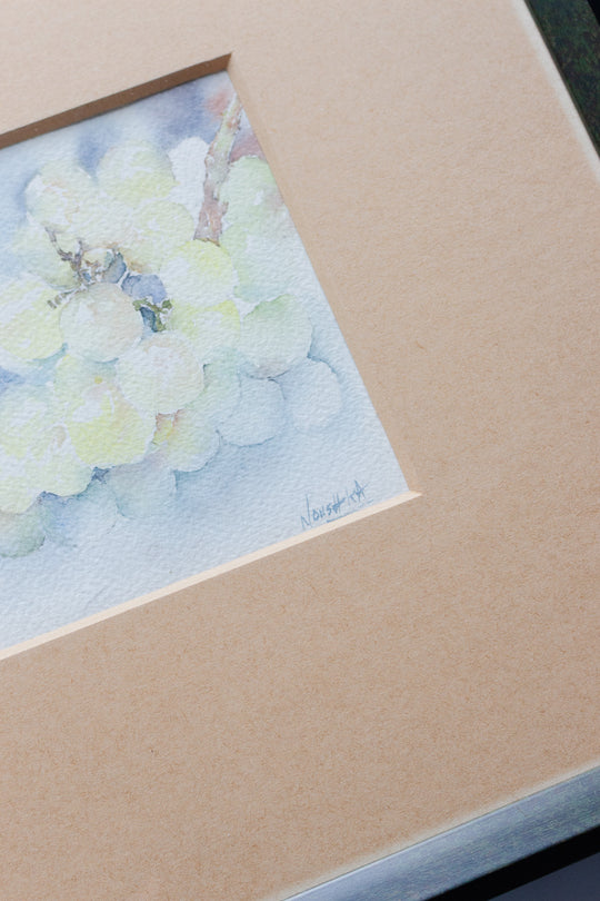 raisins en aquarelle