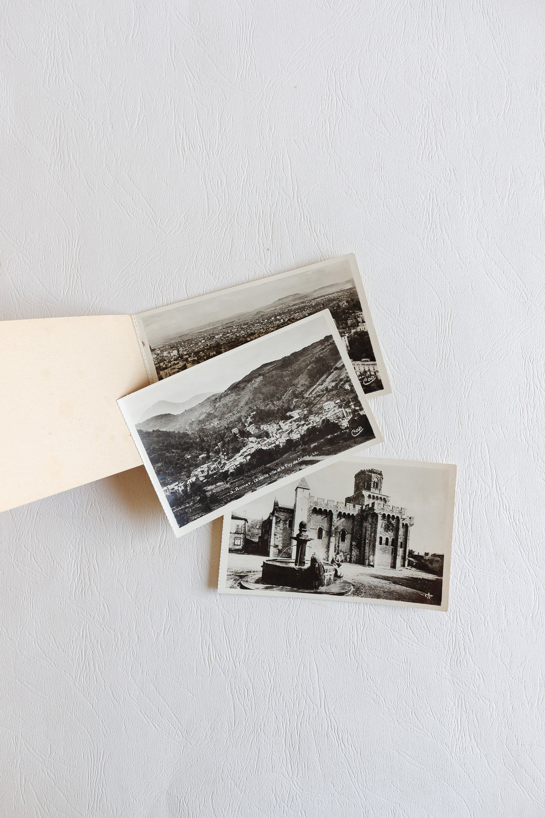 set of 3 antique french souvenir photo booklets