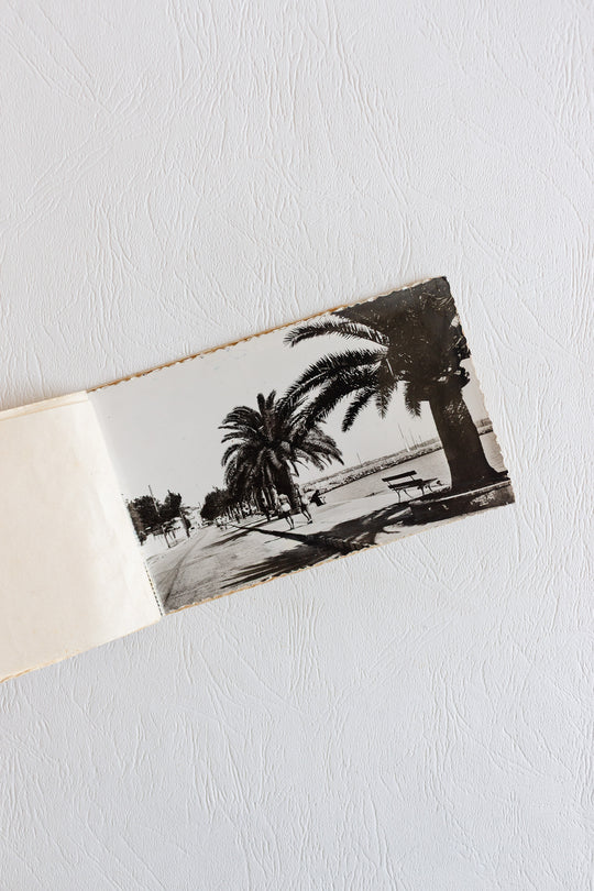set of 3 antique french souvenir photo booklets
