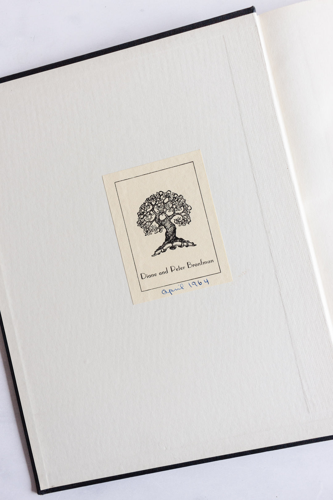 rare "european paintings in canadian collections" vintage art book