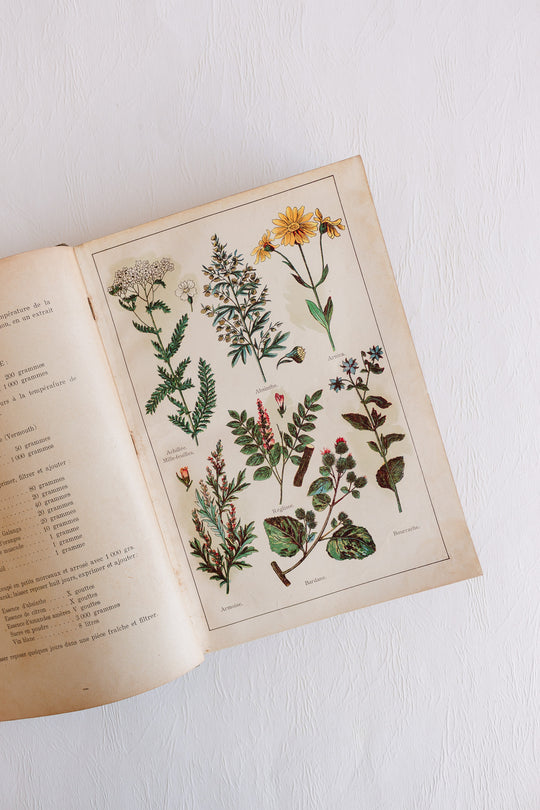 1907 "mon docteur: médecine et hygiène" hardcover book with coloured plates