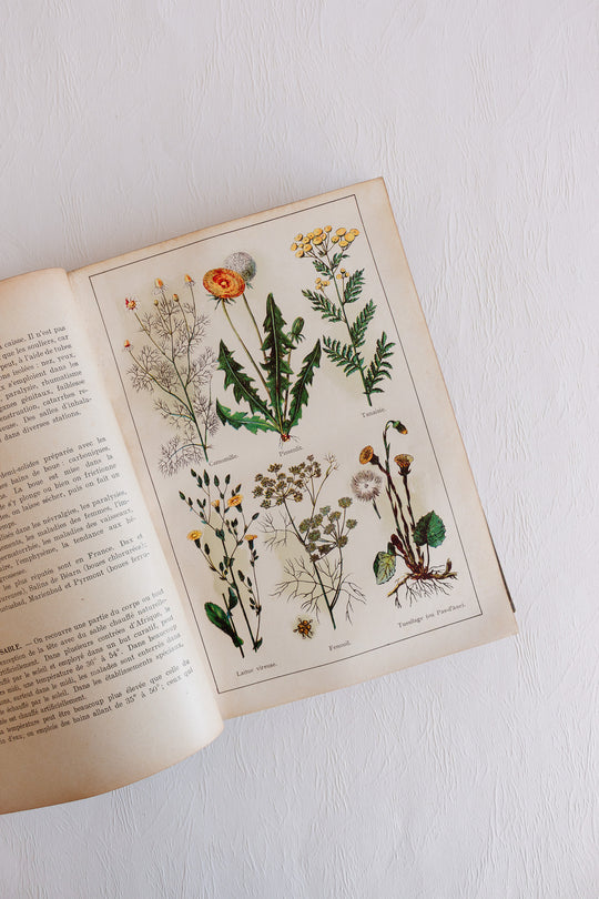 1907 "mon docteur: médecine et hygiène" hardcover book with coloured plates