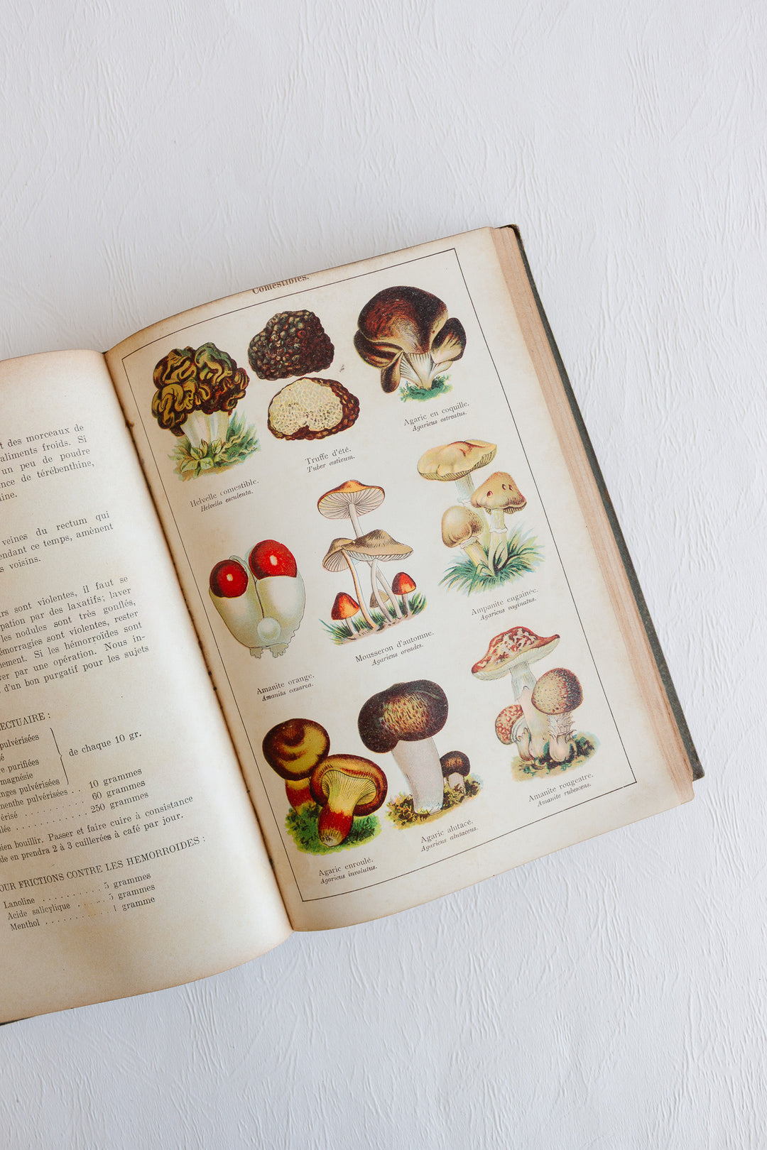 1907 "mon docteur: médecine et hygiène" hardcover book with coloured plates