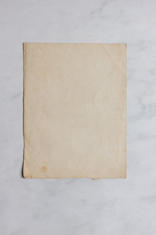 antique french floral study