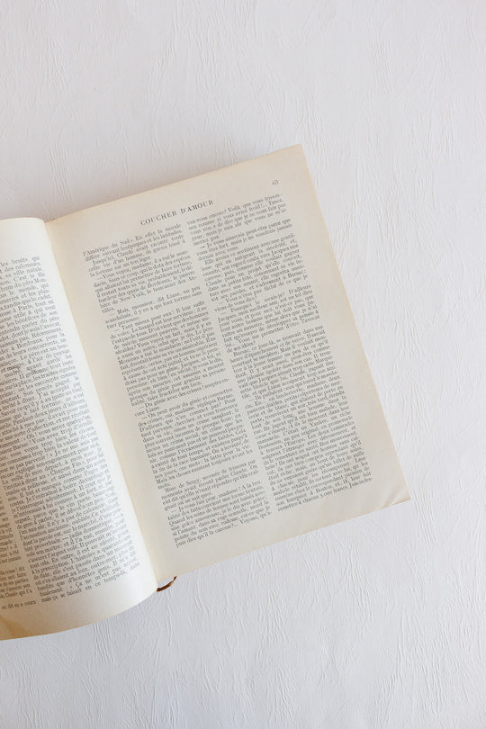 félicien champsaur: marquisette antique french book