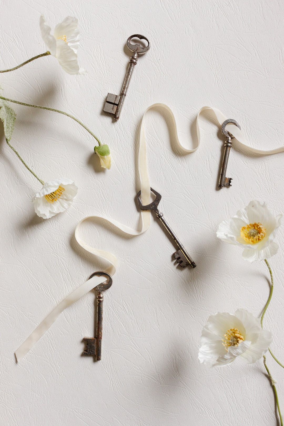 Delicate Keys antique french skeleton