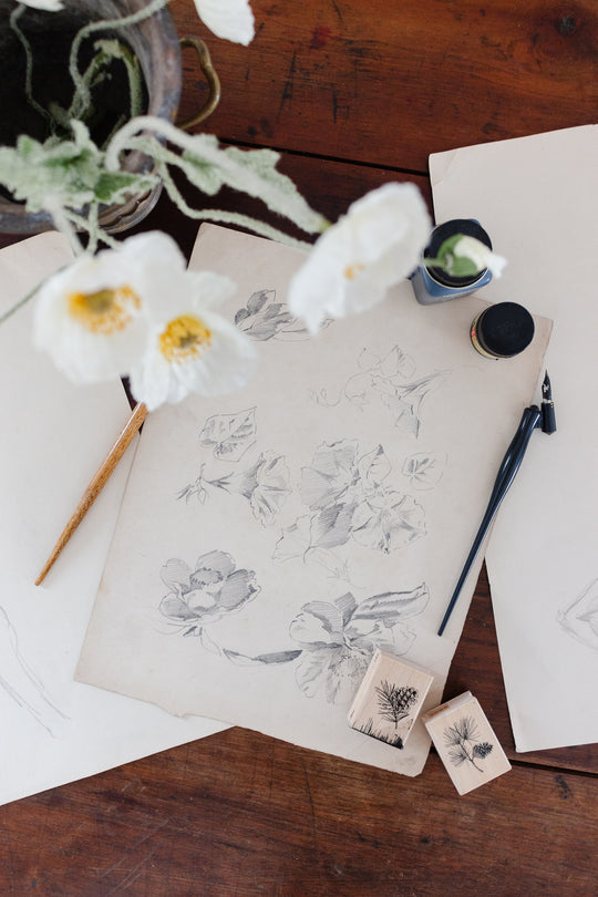 antique french floral study