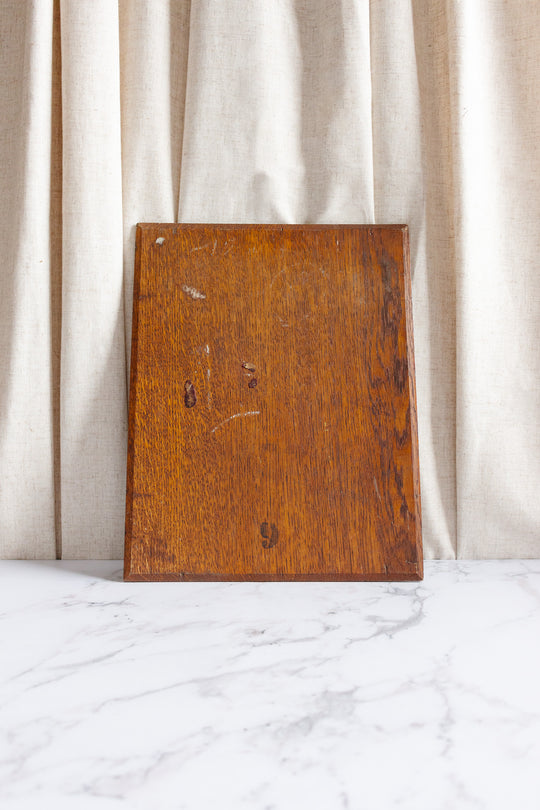 die schöne Frau, 1892