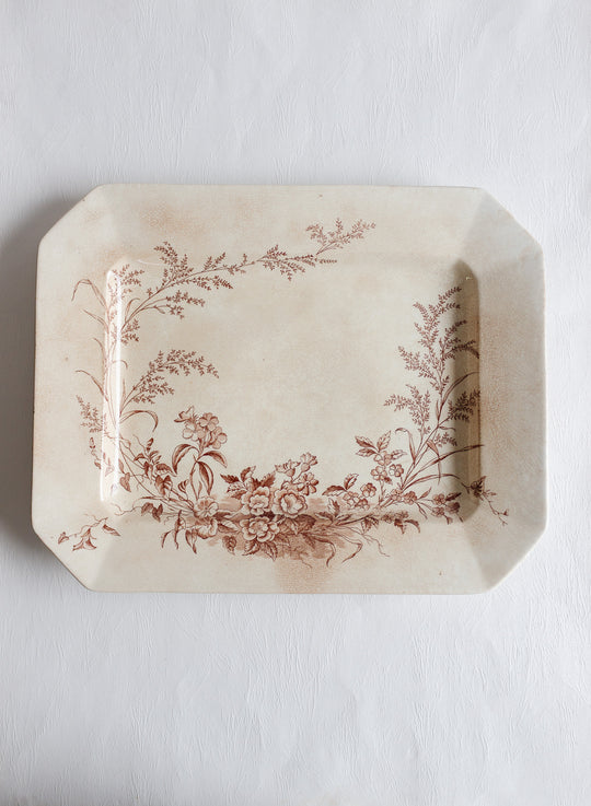 1888 english "montreal" cliff stoneware platter pair