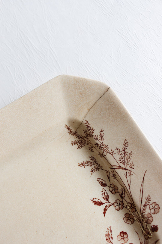 1888 english "montreal" cliff stoneware platter pair