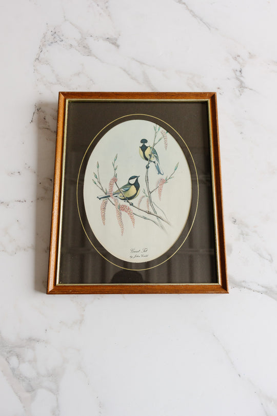 the great tit vintage art print