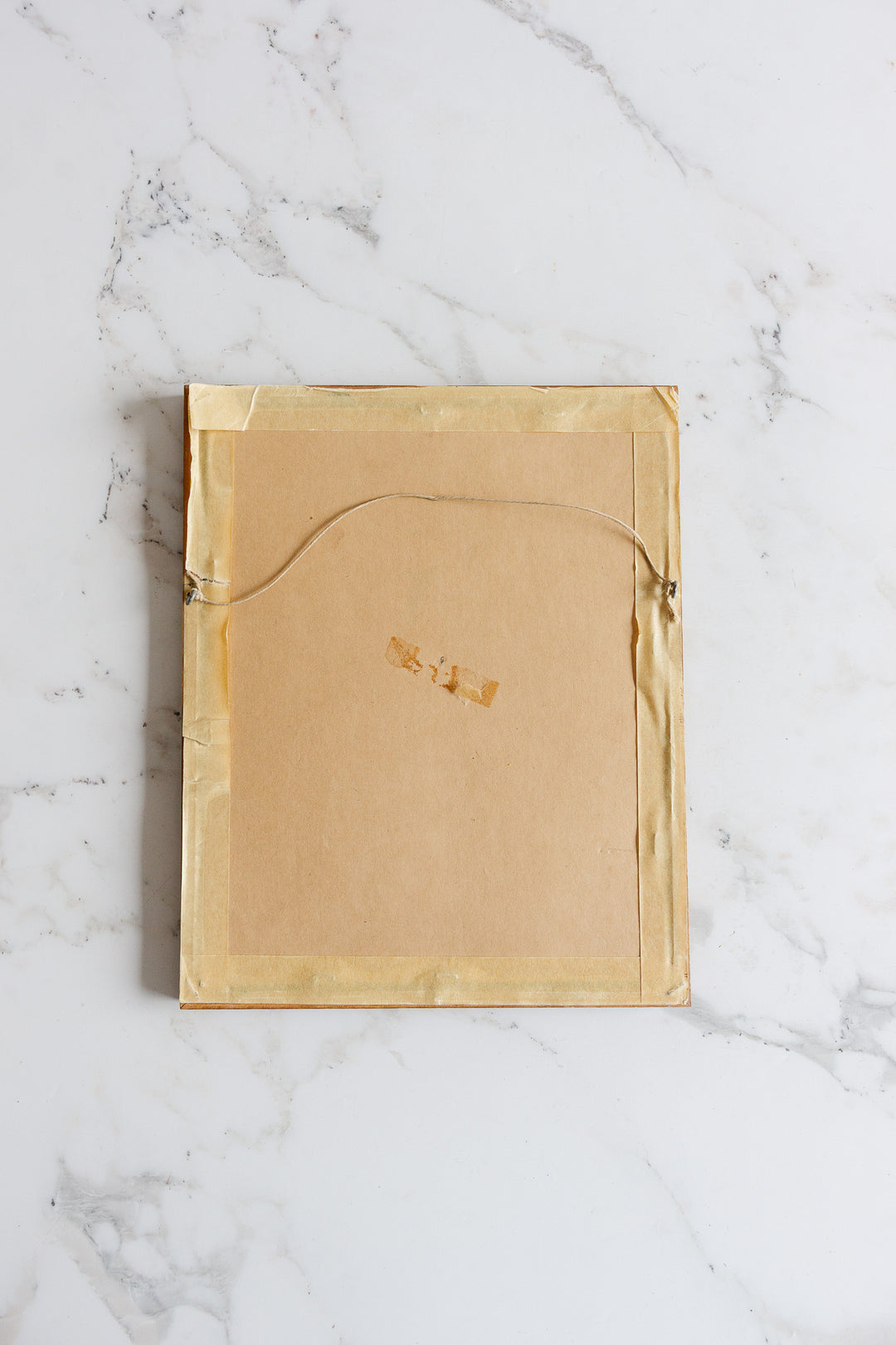 the great tit vintage art print