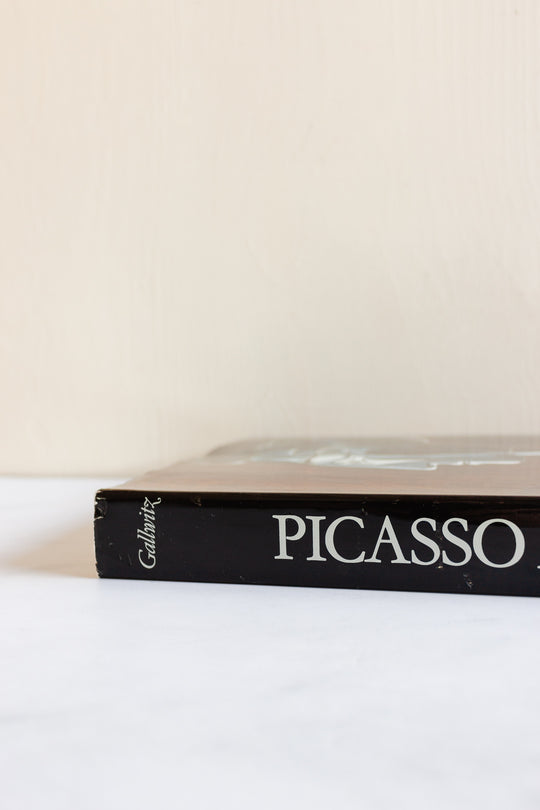 "picasso at 90" vintage art book