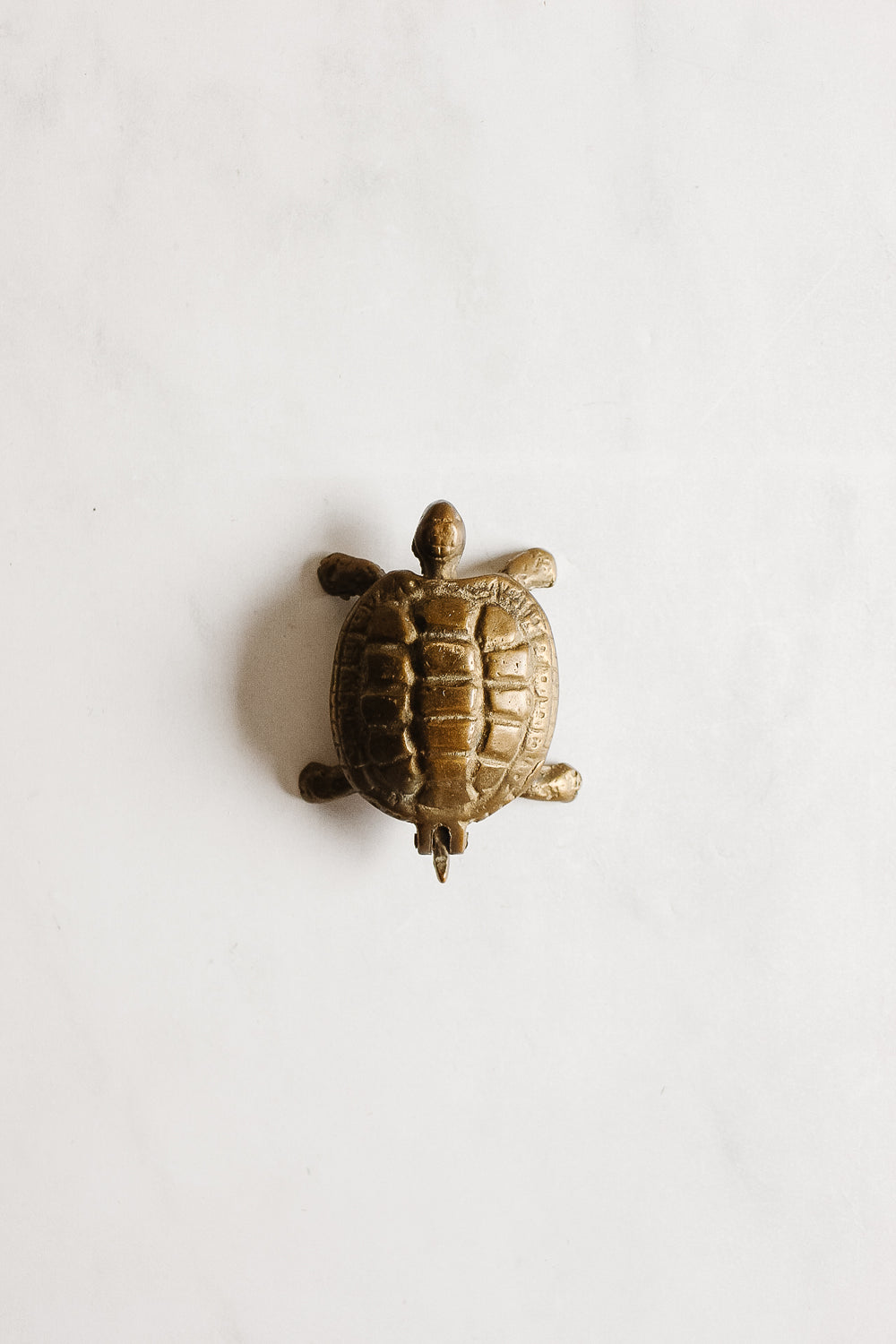 vintage French brass turtle jewelry box