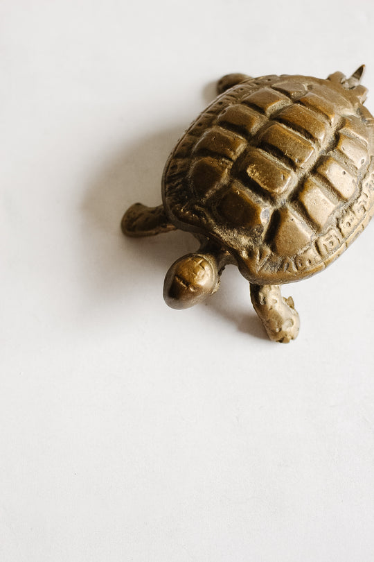 vintage French brass turtle jewelry box