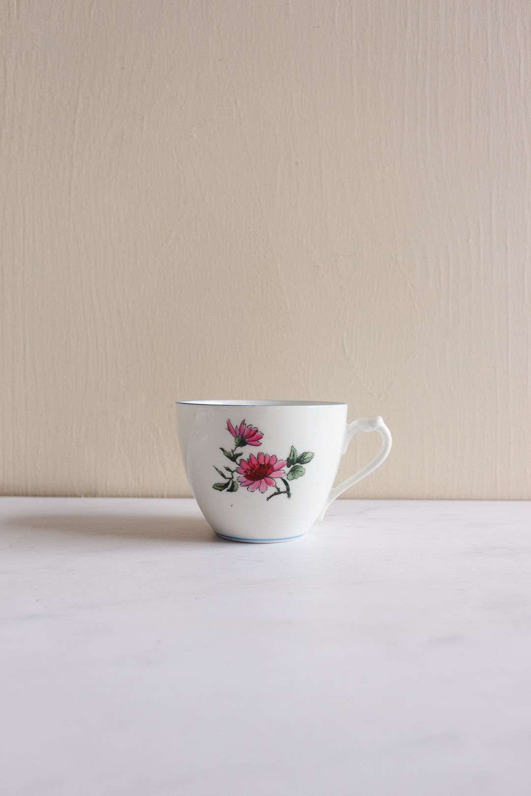 rare 1880s limoges hand painted flora and fauna teacups, set of 5