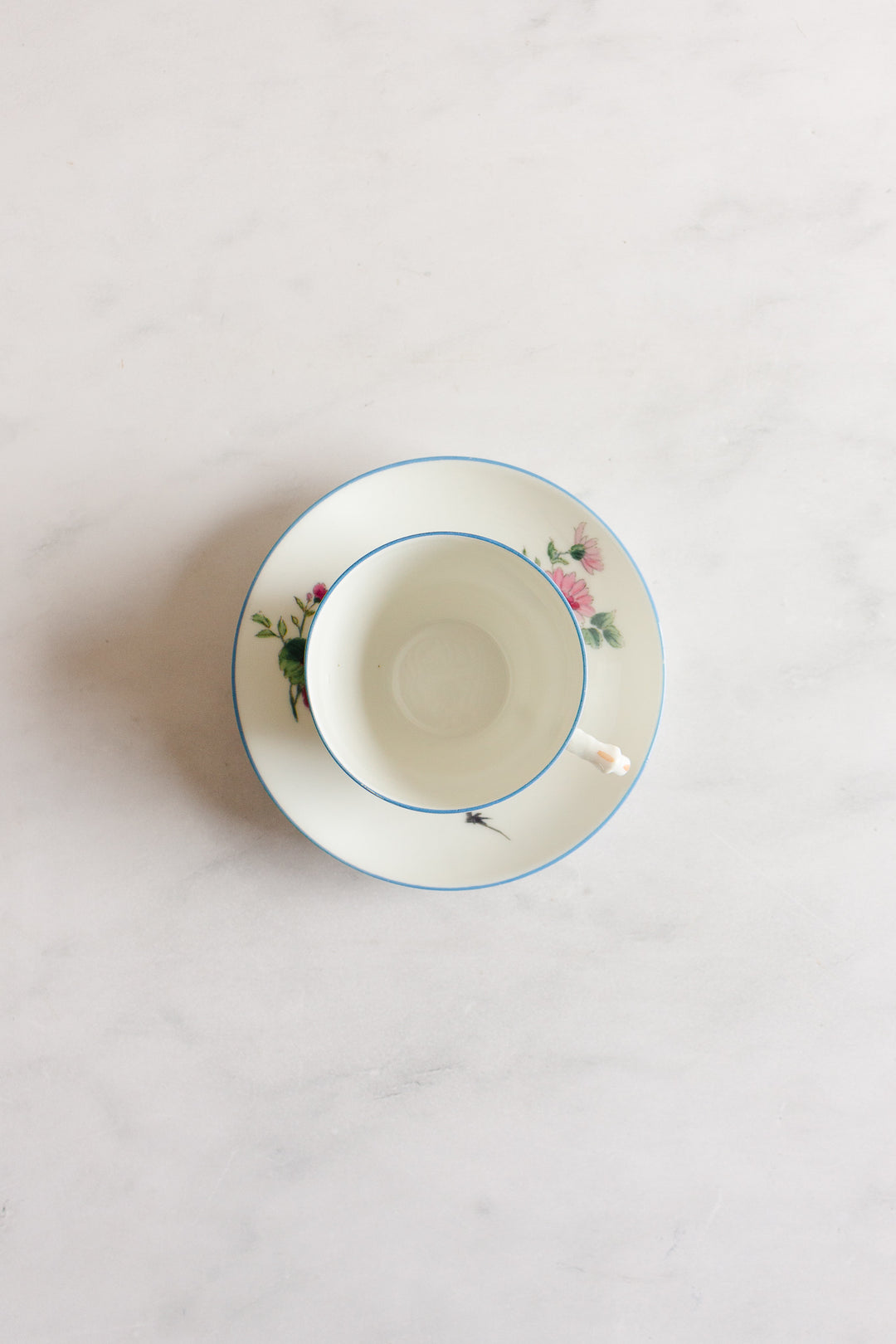 rare 1880s limoges hand painted flora and fauna teacups, set of 5