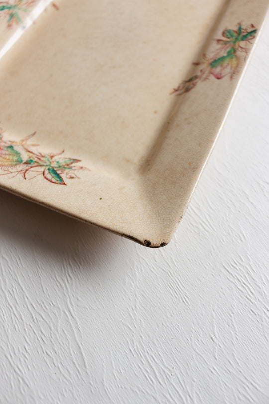 19th century early transferware platter